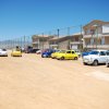 Burgio_2009 (618)